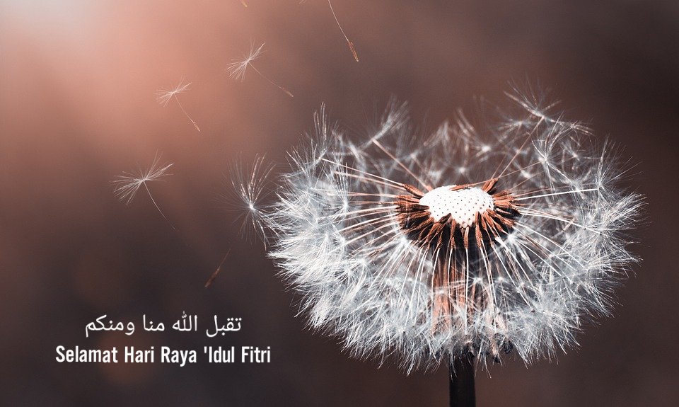 Alwin (@alwinhn) on Twitter photo 