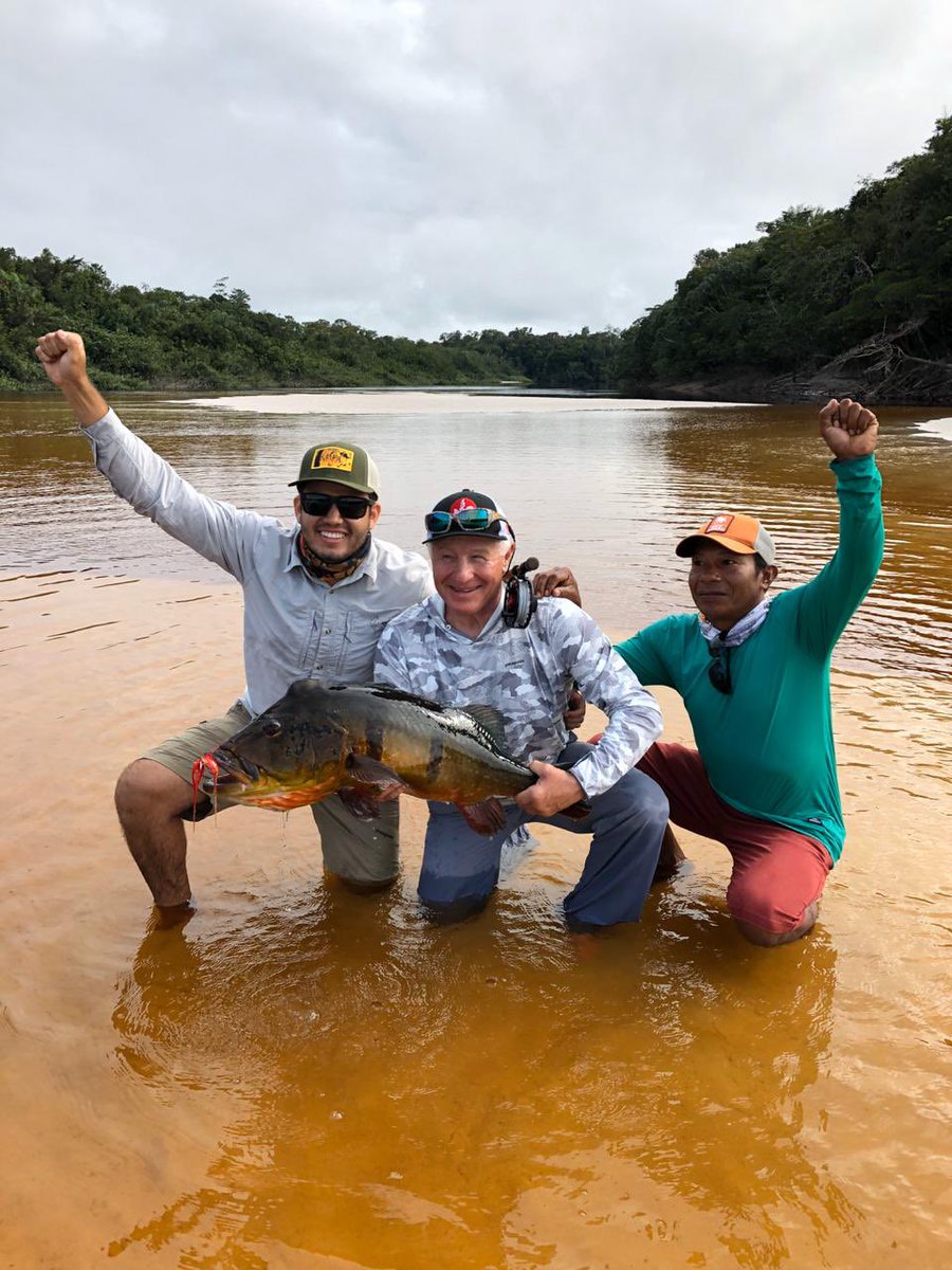 A nice peacock bass in shallow water. This big bass certainly grabbed our attention and was one to celebrate. Big hump on this giant!

Ph: Martin Ferreyra Gonzalez
#flyfishing #peacockbassonfly #peacockbass #untamedangling #riomarié #jungleflyfishing