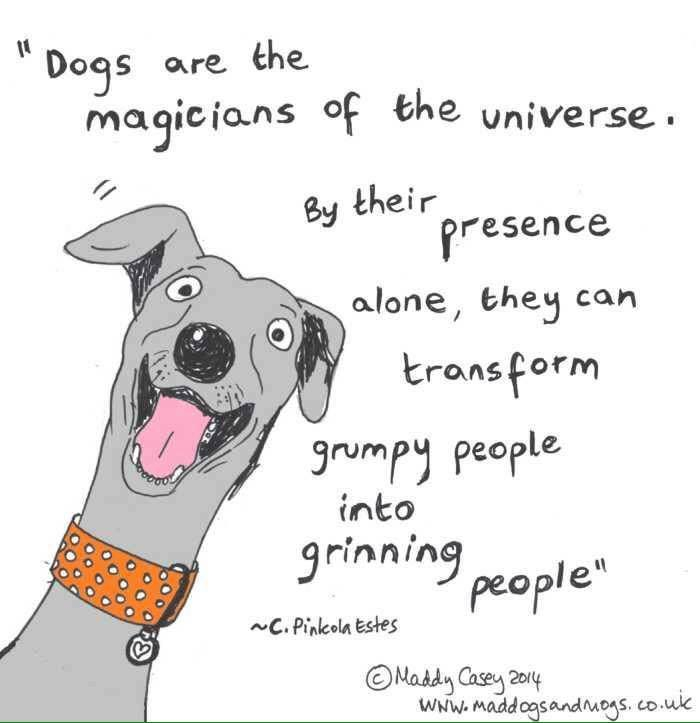 OscarWinning's tweet photo. It really is magical to watch people respond to dogs.
#quarantraining #AloneTogether #dogbehavior #CSAT #CDBC #ADT #iaabc #iaabcpets #OscarWinner #OscarWinningBehavior #behaviorthatwinsrewards https://t.co/lJrCfO52pb