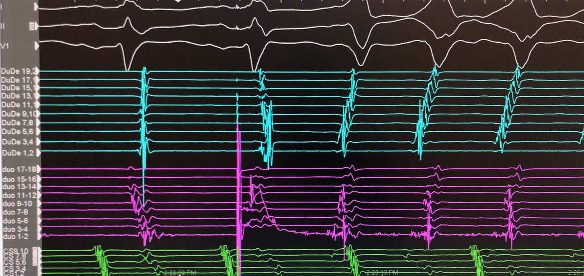 Roderick Tung tweet media