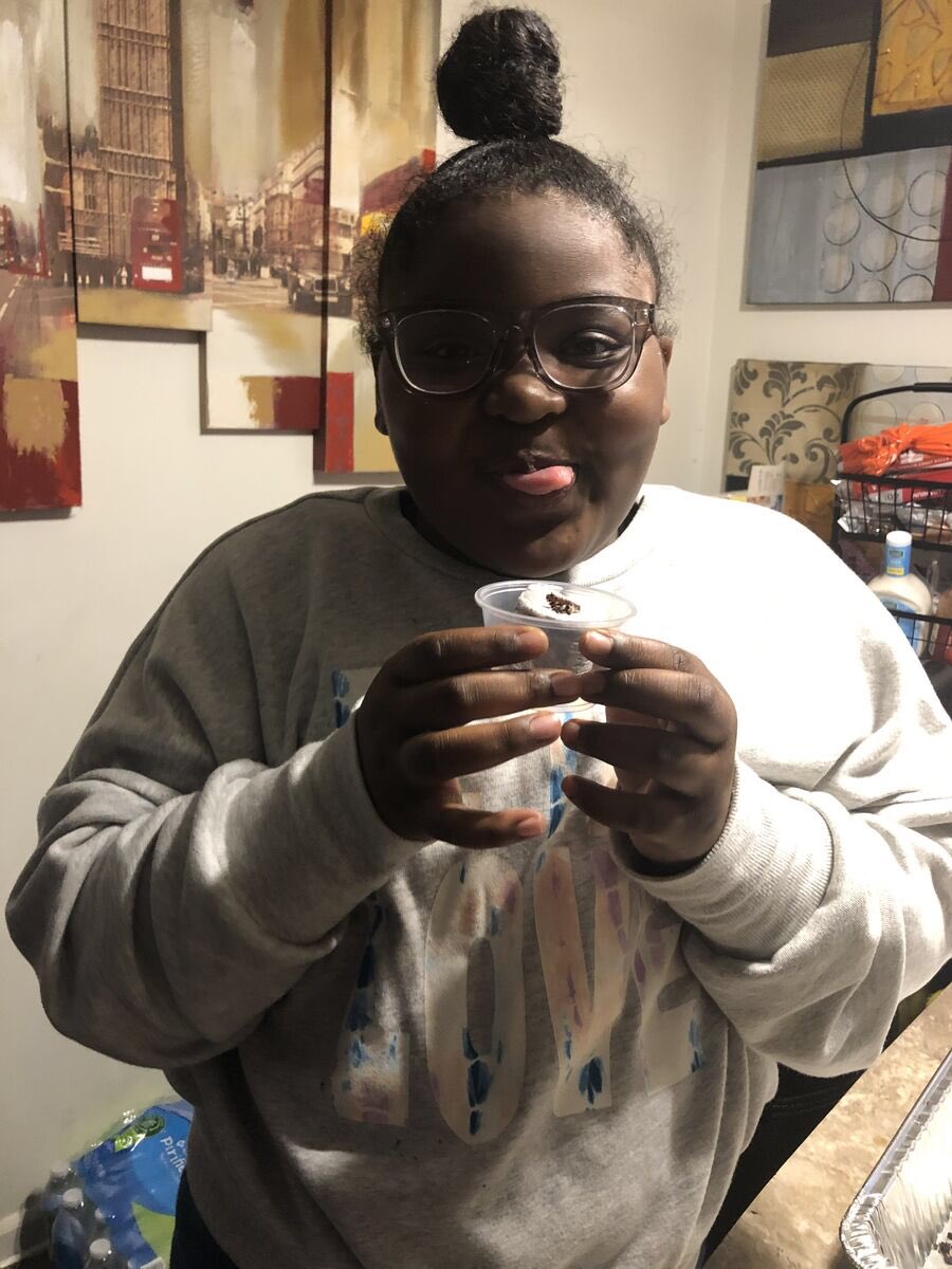 SFE_3820's tweet photo. Thanks @MHSIndiana for the Kits for our 4th graders.  Here are some photos from their fun learning at home!  Great follow up to our seed festival with @IXScience #wearewayne #sfestem https://t.co/iLfDam6YKz