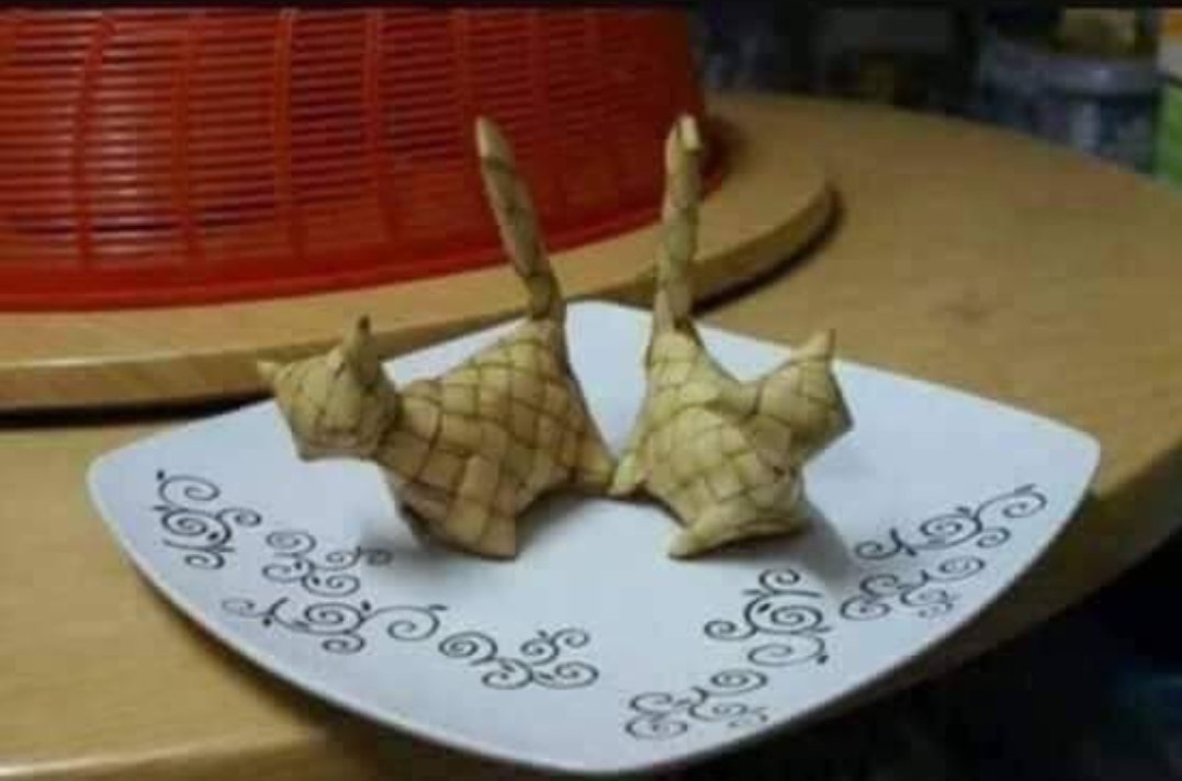 ulat_bulu_bulu's tweet image. Catupat.