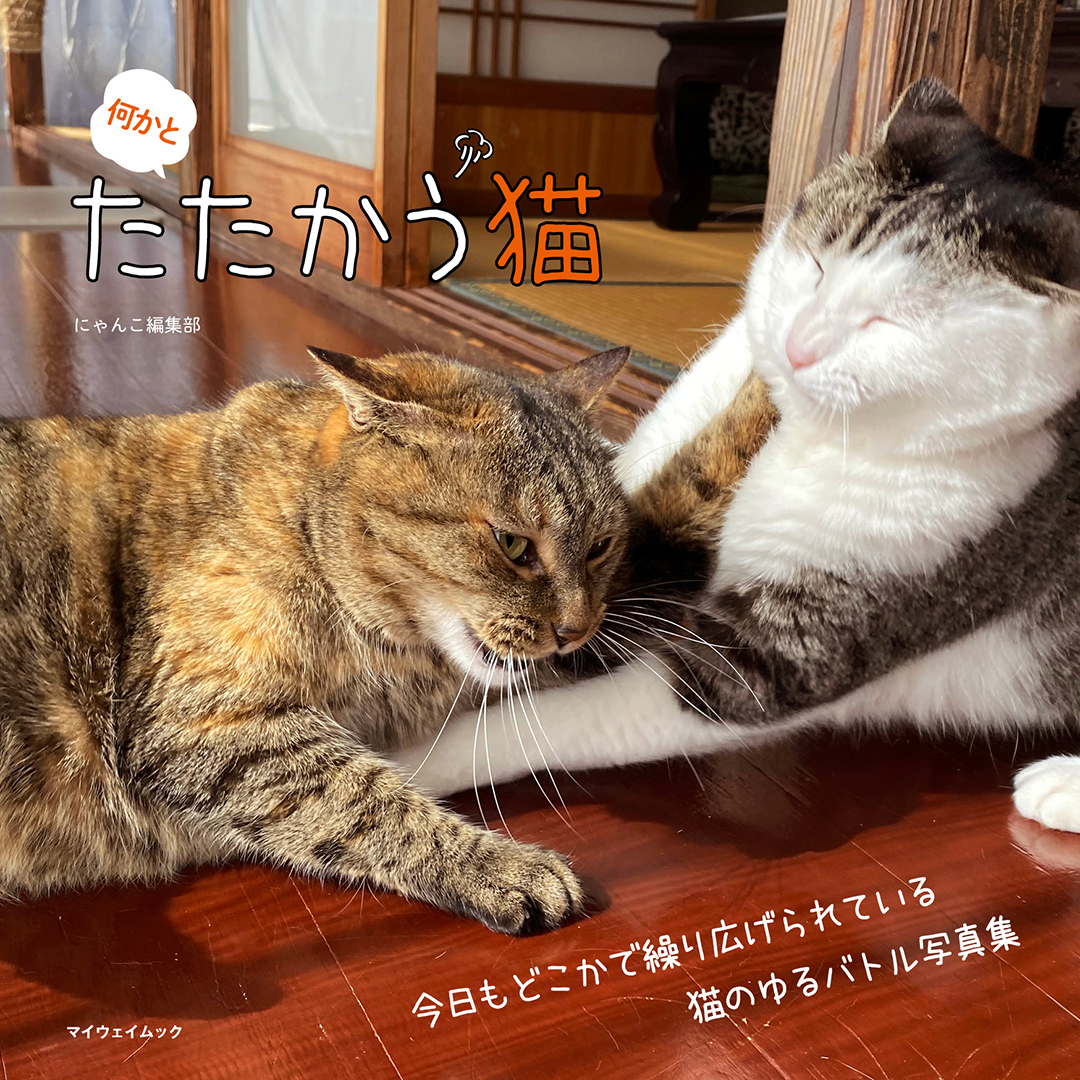 ピーエーディー Pad Editorial Twitter ピーエーディー Pad Editorial Twitter