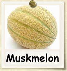 Three lessons maybe learned today.

1. Institutional support does not preclude 30%-plus corrections
2. Markets punish arrogance, especially on the part of  leveraged traders
3. Muskmelons thrown at speed can do great damage

Next bull market will be in POOPCOINS, symbol $DUMP