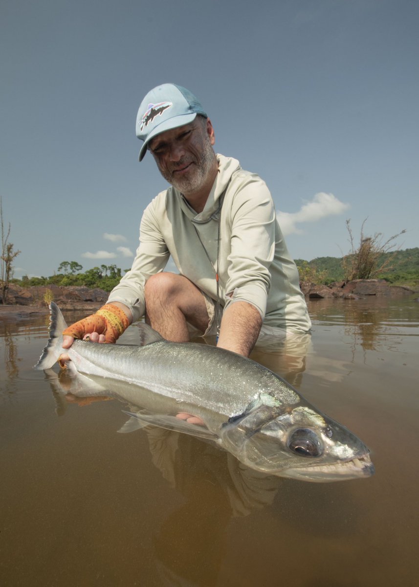 Xingu Lodge tweet media
