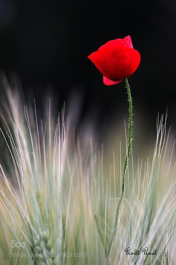 ℒ𝑒𝓎𝓁𝒶🌱 互FO 🫆 tweet media