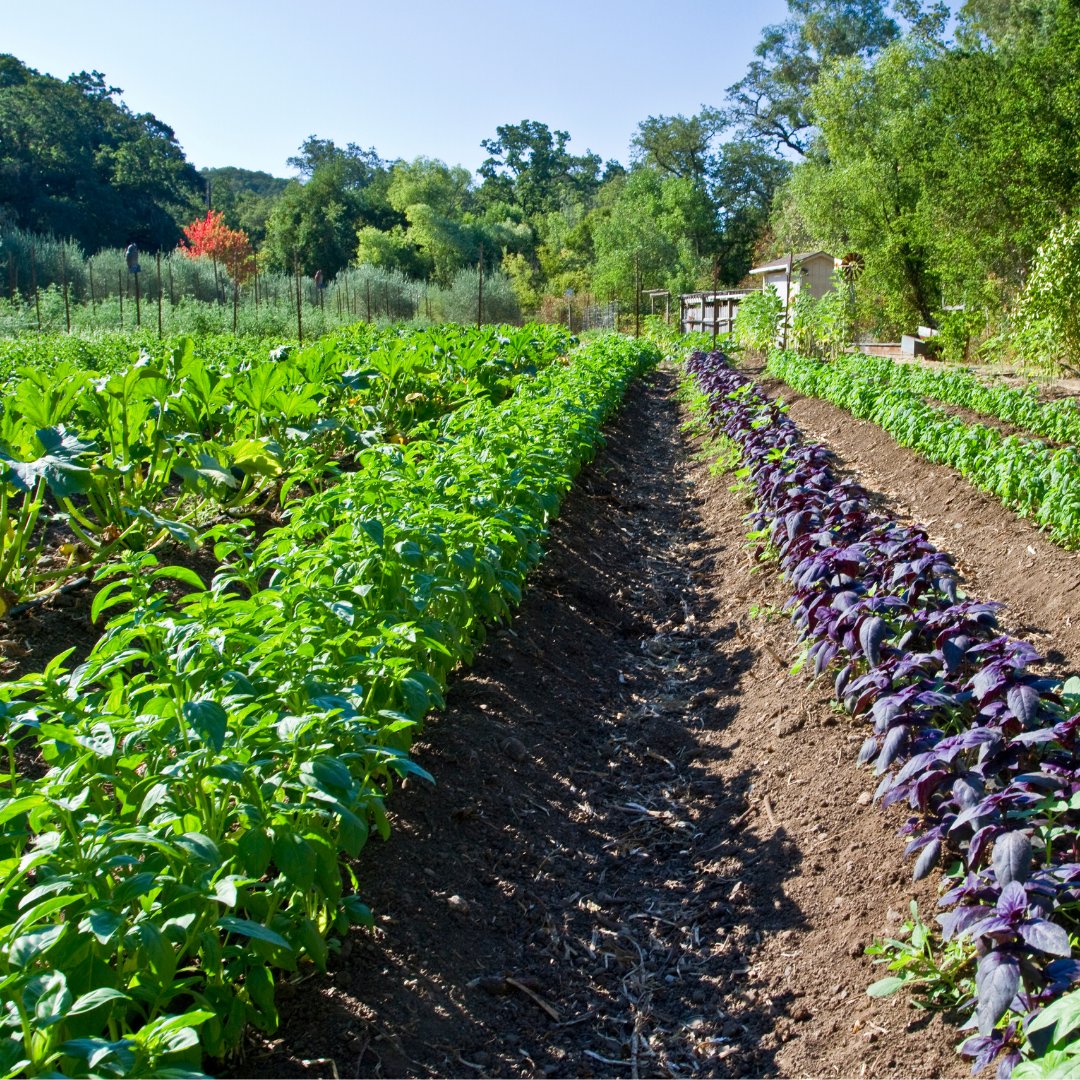 EatoSystem tweet media