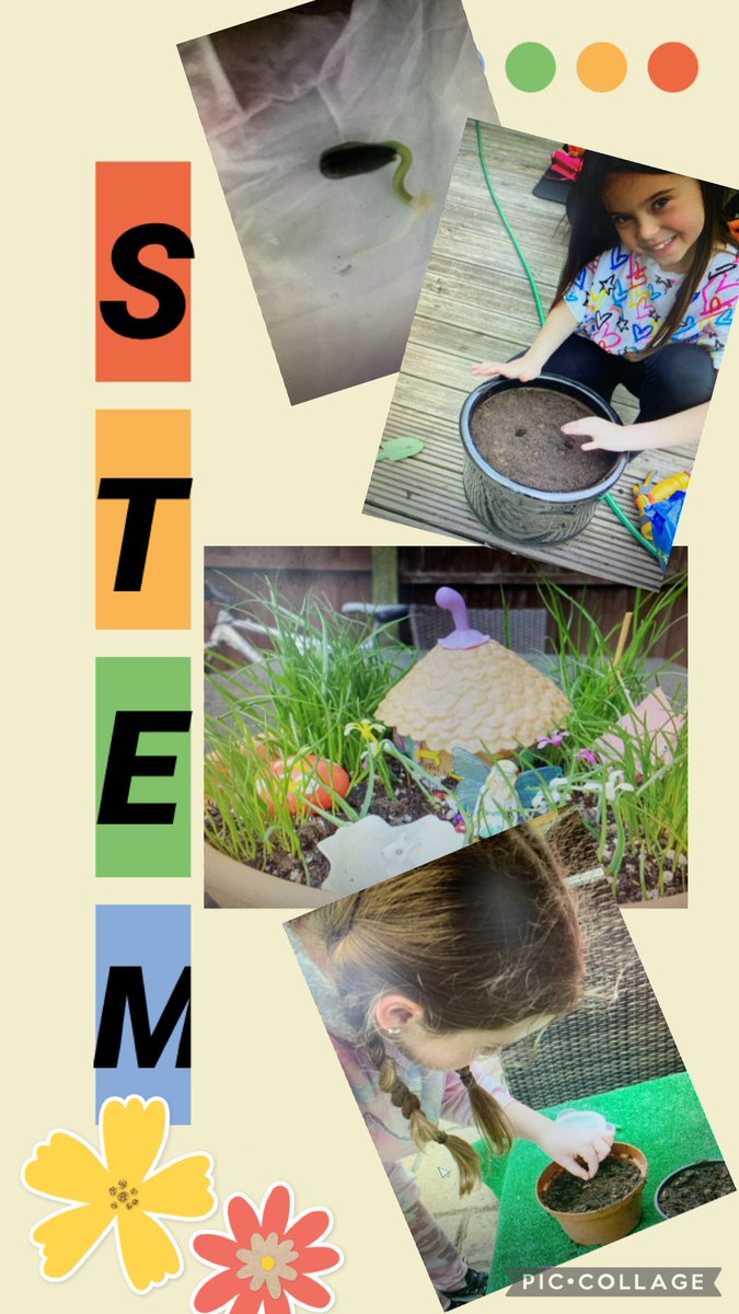 BranfilPrimary's tweet photo. Science at Branfil is all about plants at the moment! Pupils across the year groups have been observing, identifying, describing and experimenting! We definitely have some green fingers! #BranfilSTEM #BranfilValues #BVUnderstanding https://t.co/oyiUBvXquL