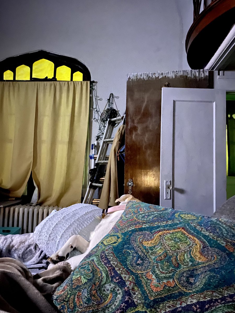 DubaTim's tweet image. #pillowfort