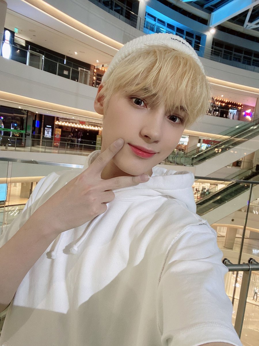 sorbetxt's tweet photo. 진짜 귀여운 점 배경이 다름
뽈뽈 돌아댕기면서 찍었나바 https://t.co/Sn9EaOGQl8