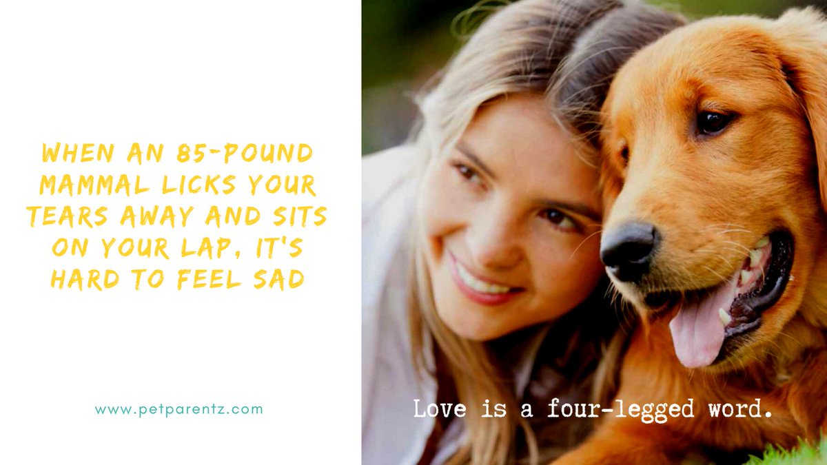 Pet Parentz tweet media