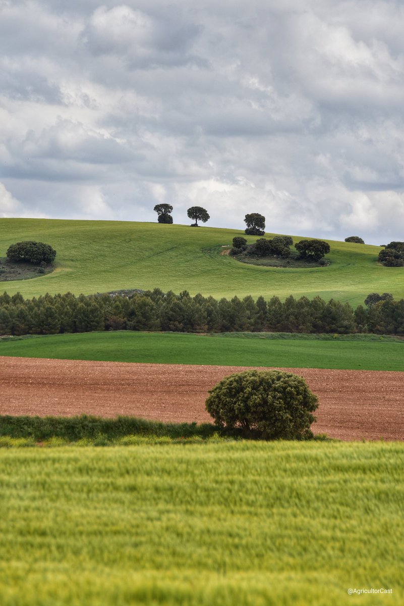 Tractorista de Castilla 🚜💨 tweet media