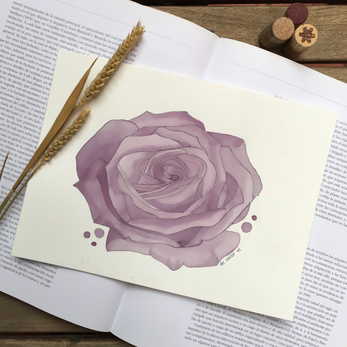 🍇 garnatxa negra
🌍 <a href="/domontsant/">domontsant</a> ⠀⠀⠀⠀⠀⠀⠀⠀⠀
📐 29,7 x 21 cm ⠀⠀⠀⠀⠀⠀⠀⠀⠀

#decolorvi #vicatalà #winepainting #wine #watercolor #nofilters #makeartnotwar #illustration  #winelover #enjoywine #watercolorpainting #handdrawing