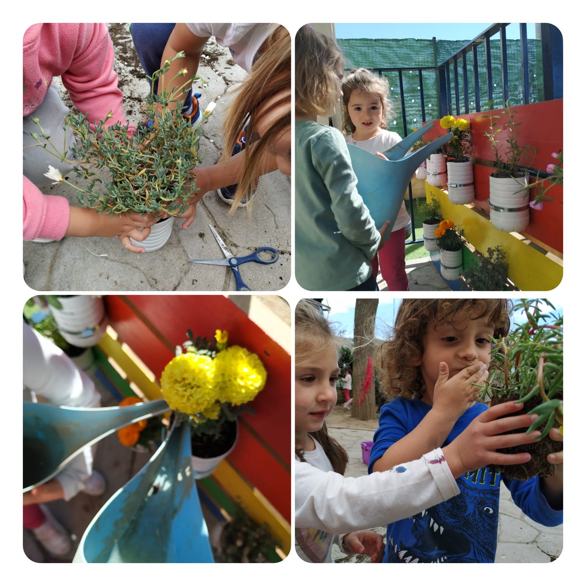 ceipmzambrano's tweet photo. Fomentando la importancia de reutilizar ♻️y darle un segundo uso a las botellas de leche 🍶del programa "Creciendo en Salud". Así de bonito ha quedado nuestro jardín vertical🌷⚘🌼, gracias a la ayuda de las familias y de nuestros niños y niñas. @EcoescuelasAND @ProEdSaludable https://t.co/6t1R5bhJX9