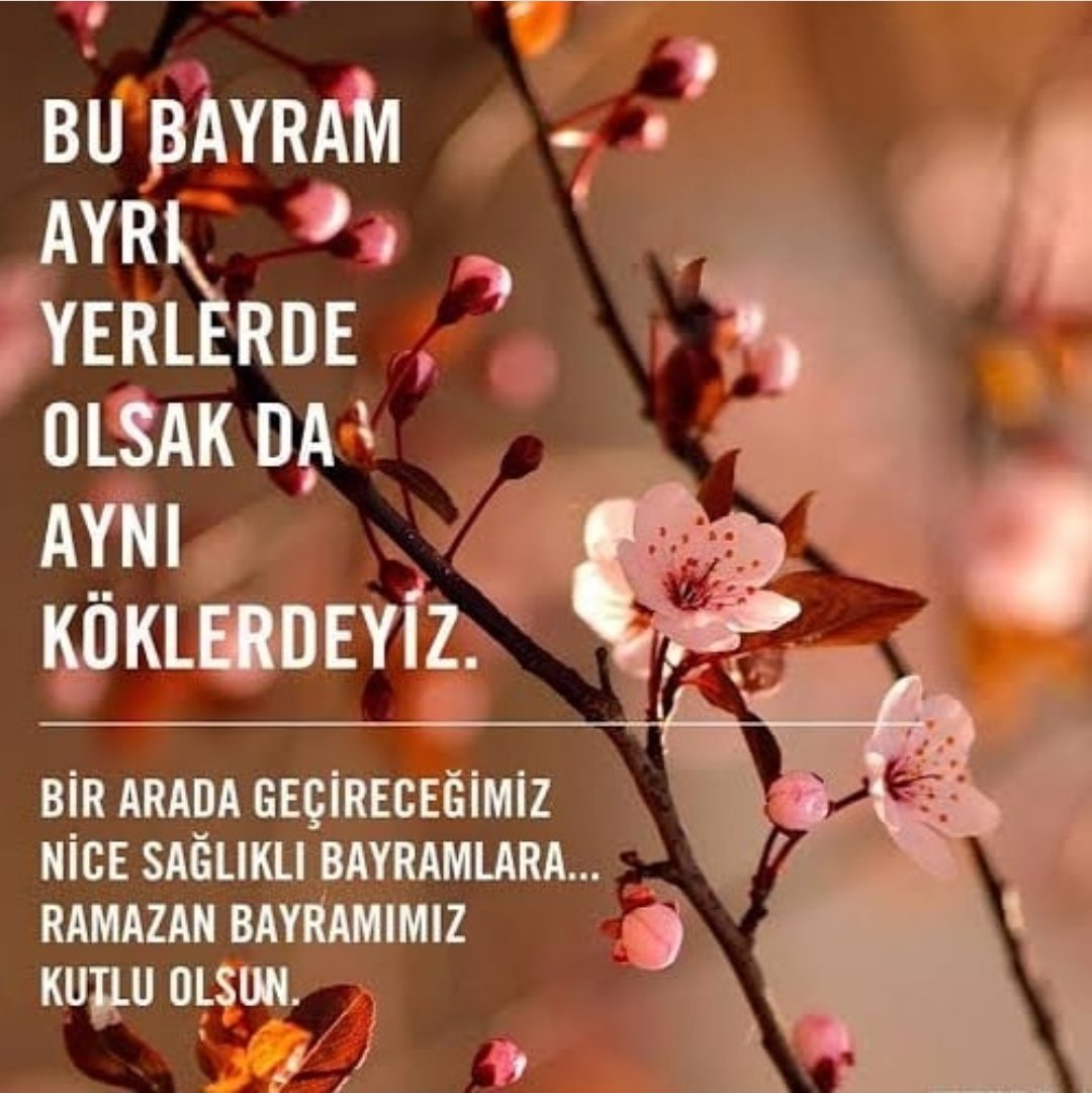 Mübarek Ramazan Bayramınızı en içten duygularımla kutlar; İslam Alemine ve tüm insanlığa sağlık, huzur ve hayırlar getirmesini dilerim.

#HayırlıBayramlar
#RamazanBayramı