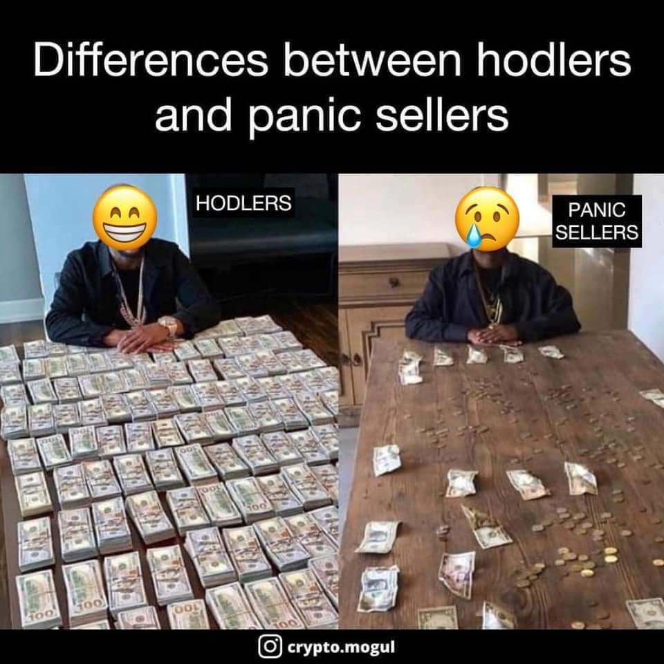 lobo_financiero's tweet photo. Don't ever sell the dip😎👌 #BTC #memecoin #Ethereum https://t.co/BHvcm1Tpa0
