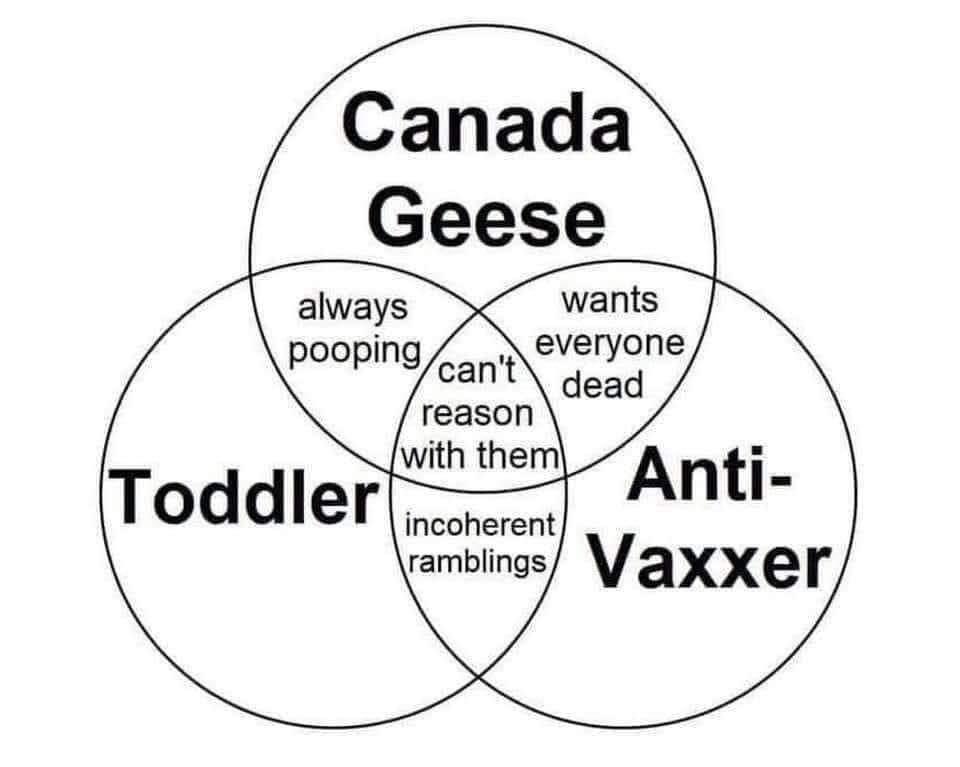 The most logical thing I’ve seen all week