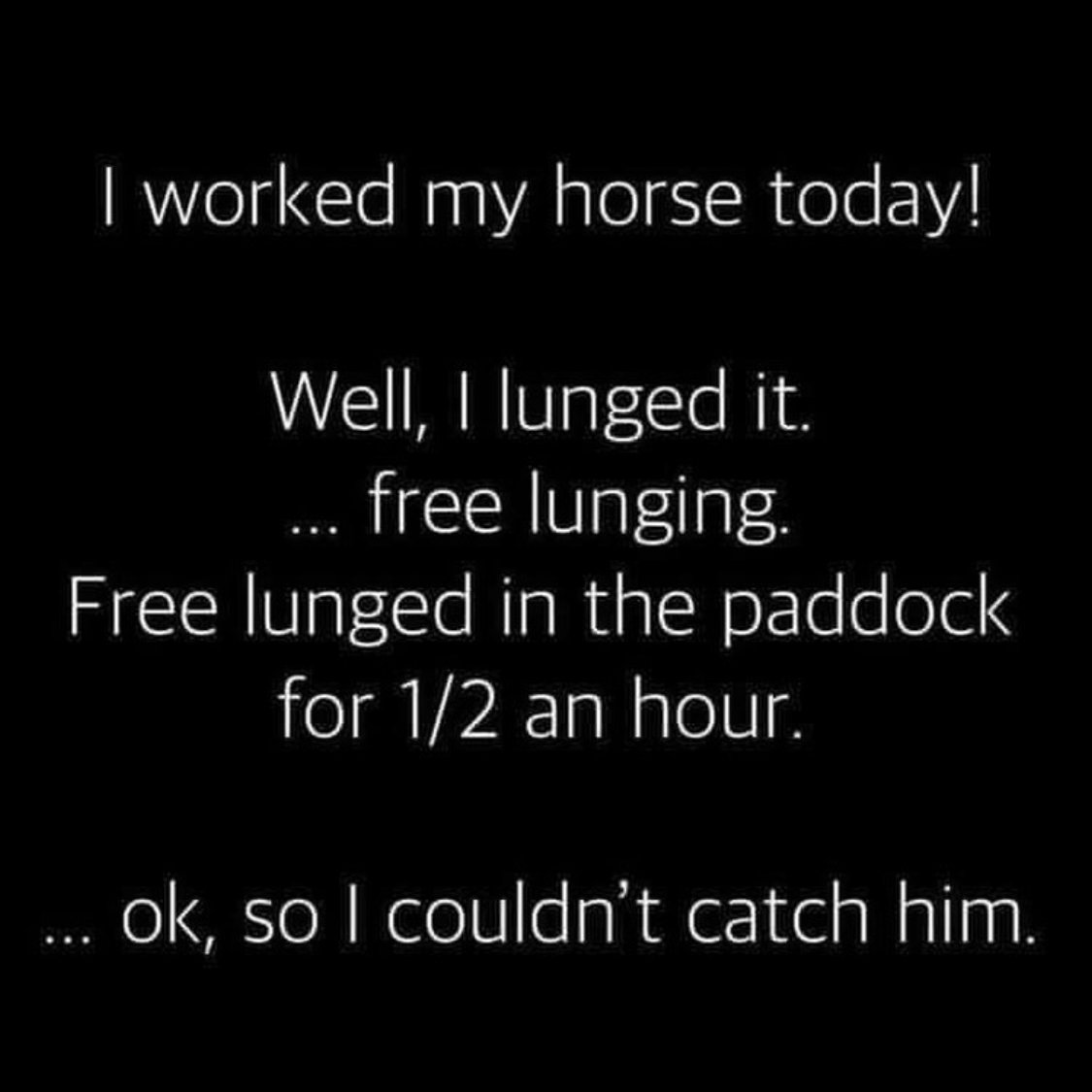 Catching horses can be quite the workout! Retweet if this happened to you this week 👇