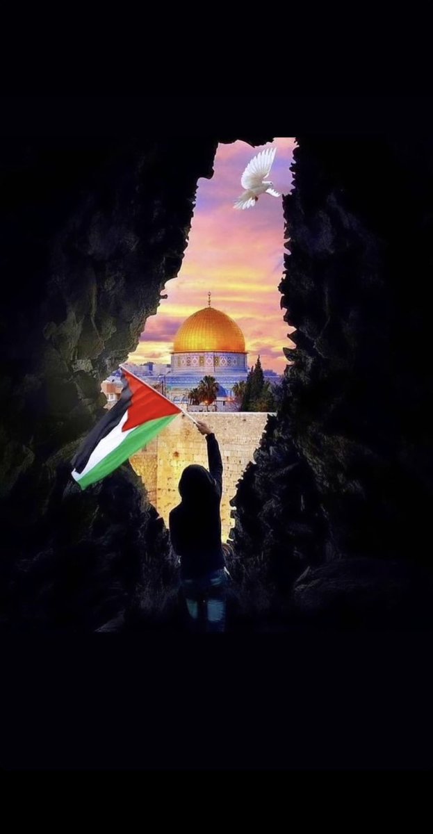 Jennifer Sandoval Sharmoug tweet media