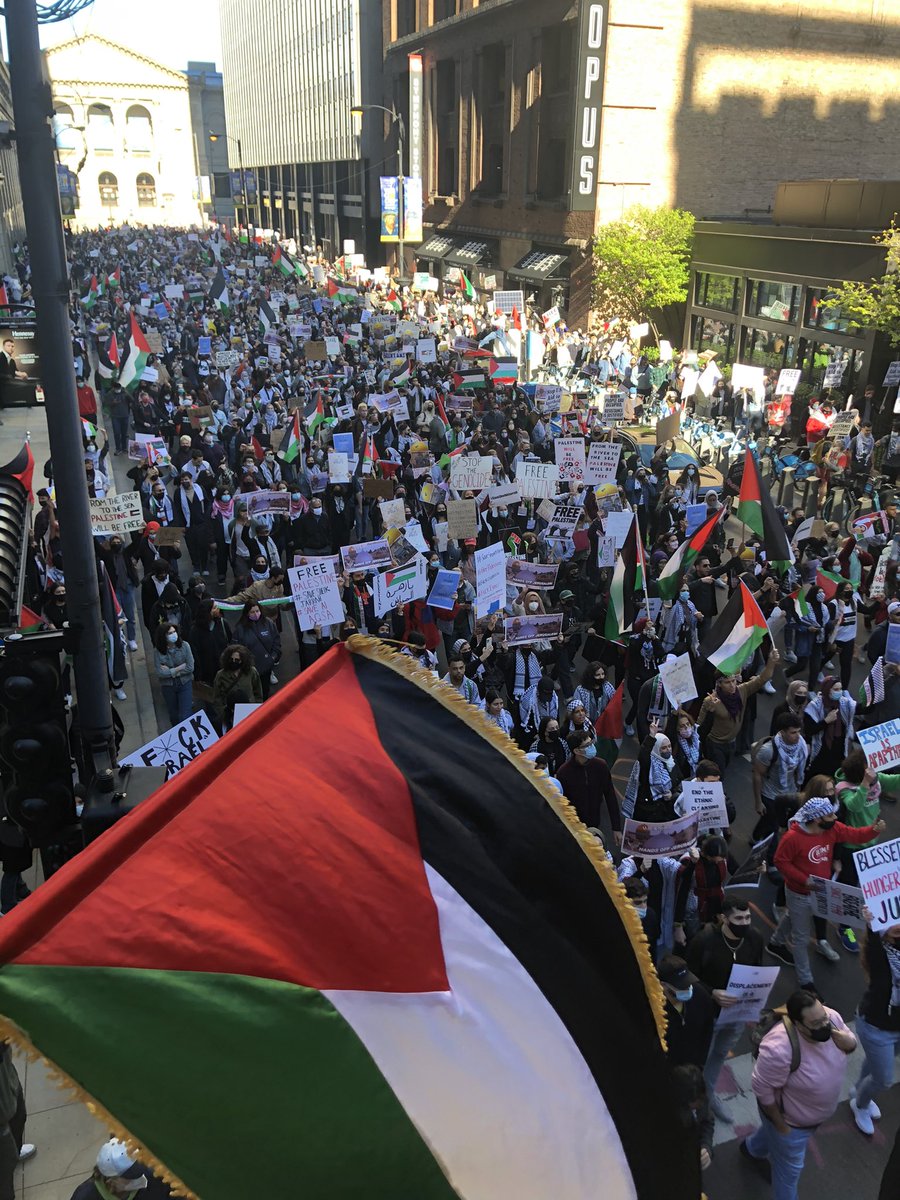 JohnBrownsBody2's tweet image. Chicago is with you Palestine.
#FreePalestine