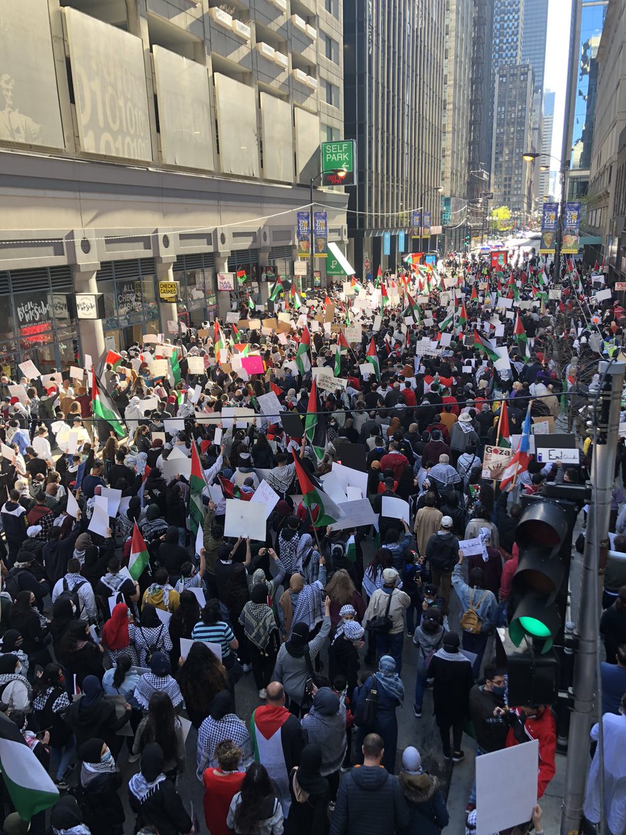 JohnBrownsBody2's tweet image. Chicago is with you Palestine.
#FreePalestine