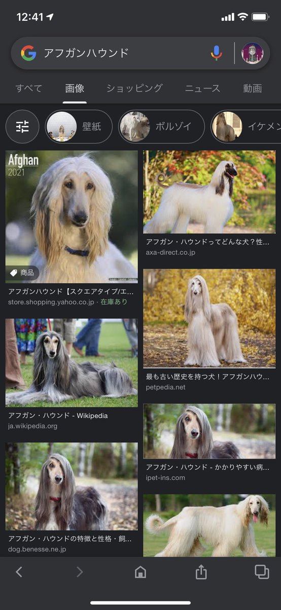 犬顔といってもいろんな犬顔がある 犬顔のヒト例画像がわかりみつよい ボルゾイ顔めっちゃわかる Togetter 犬顔といってもいろんな犬顔がある 犬顔のヒト例画像がわかりみつよい ボルゾイ顔めっちゃわかる Togetter