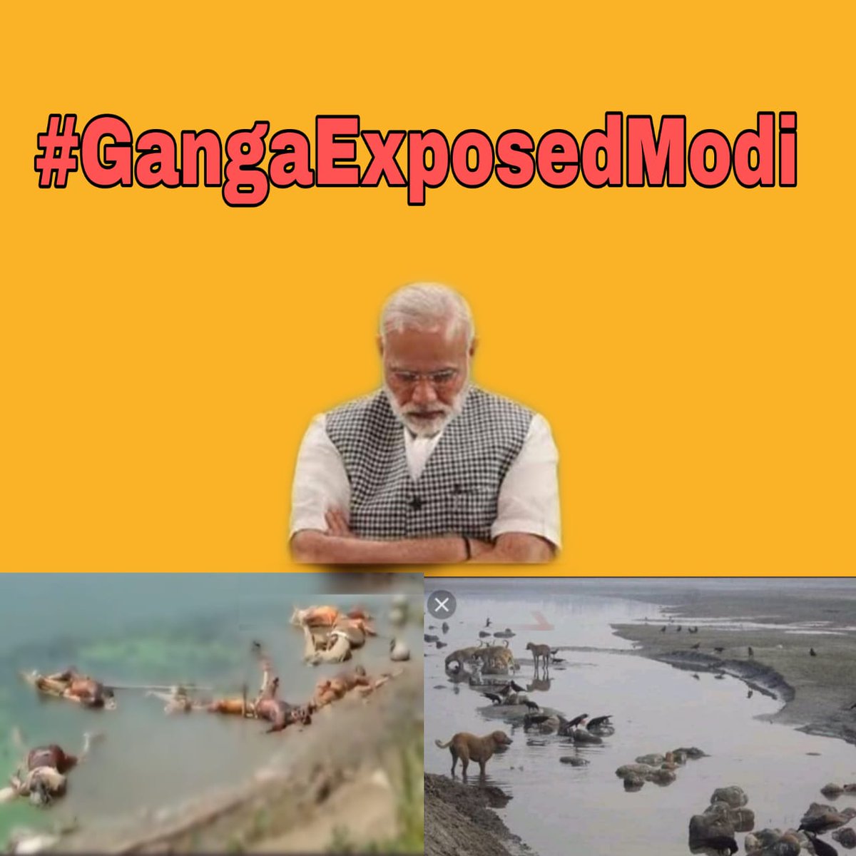 Mera Ganga, My Ganga ka beta, Ganga ne muje bulaya hai, All this is now filled with dead bodies floating, deaths is what this govt is hiding.
Wonder how Modi sleeping peacefully night after night?
Here's yet another achievement of ₹16000 crores of Namami Ganga
#GangaExposedModi