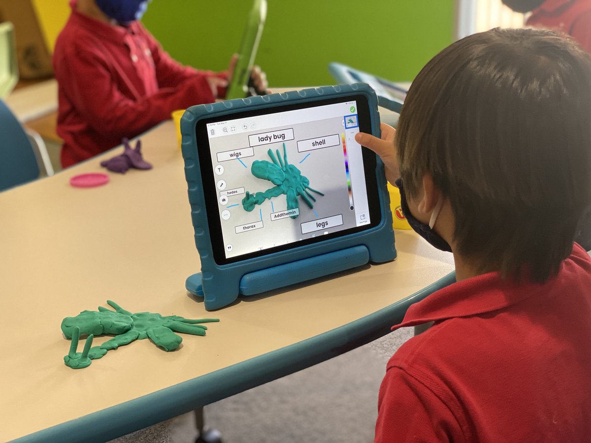 caitlin_arakawa's tweet photo. @Seesaw #Kindergarten made insects with play-doh and used @Seesaw to label their insect’s body parts! https://t.co/JVIfzUfOuW