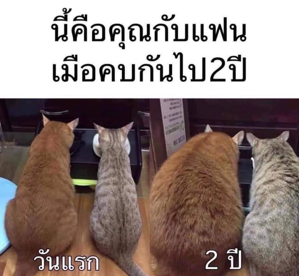 แบดแด๊ดดี้ tweet media