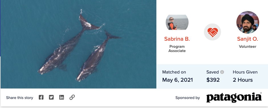 sanjit_oberai's tweet photo. I spoke to Whale and Dolphin Conservation on a Social Media call on how to increase engagement. My impact story: https://t.co/tNdelabrqU 
#volunteer #DigitalMarketing https://t.co/FUMawwAFa9