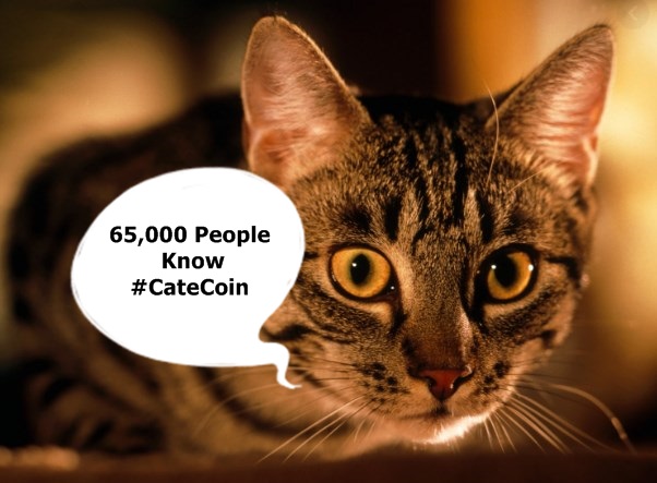 catecoin's tweet photo. @gate_io we are #dogekiller https://t.co/Q071lfvddJ