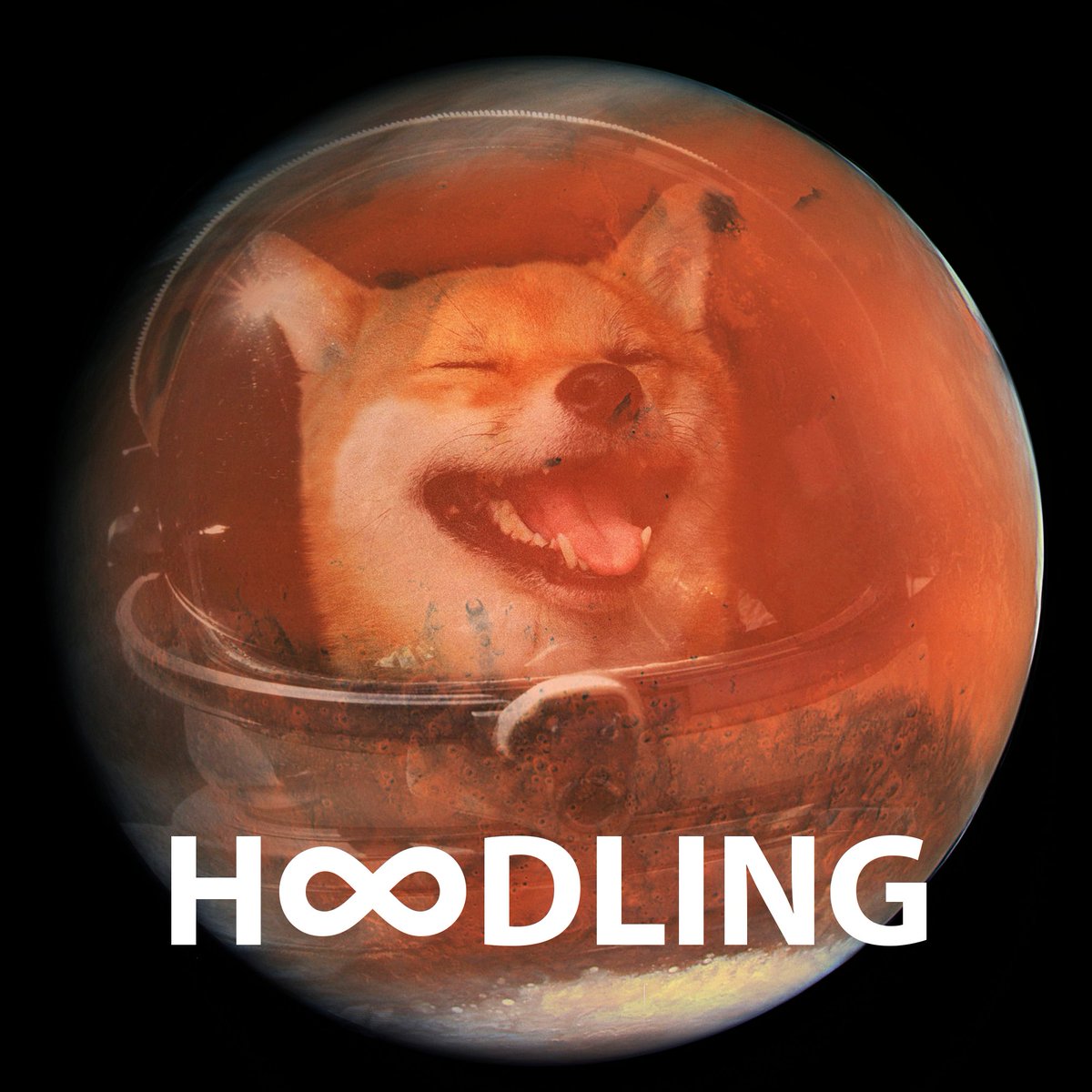 mfoundation's tweet image. @DogelonMars @VitalikButerin