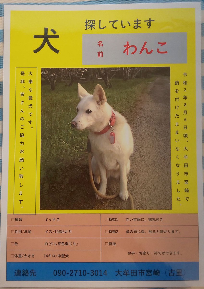 タグ 雑種 の注目ツイート 3ページ目 メガとんトラック