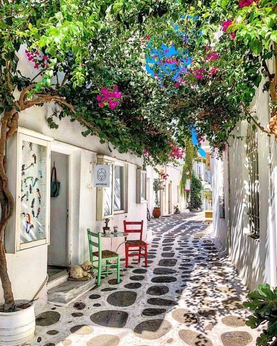 litsa 🇬🇷🌼🇺🇸 tweet media