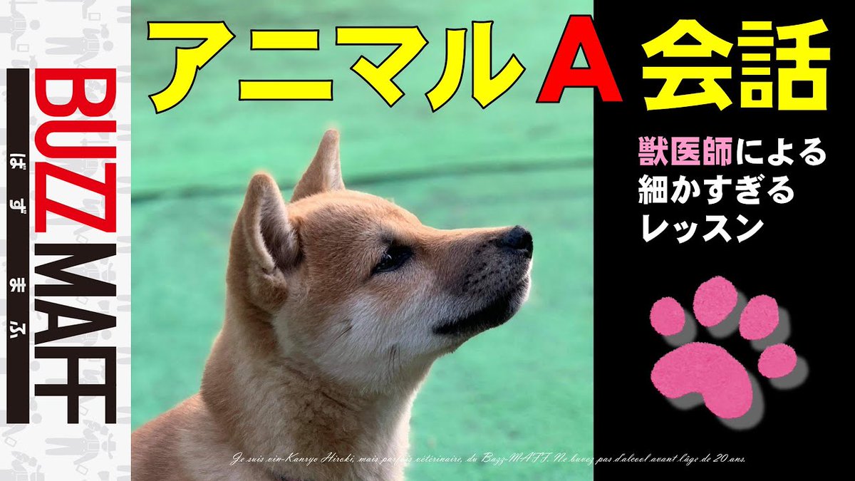 農林水産省 愛犬の日 にはイヌの言葉で会話してみませんか Dr ヒロキ 獣医さん がイヌの鳴き声について 発音から口の形まで真面目に解説します この動画を見ればあなたもイヌの鳴き声マスター 農林水産省 Buzzmaff アニマルa会話 T Co