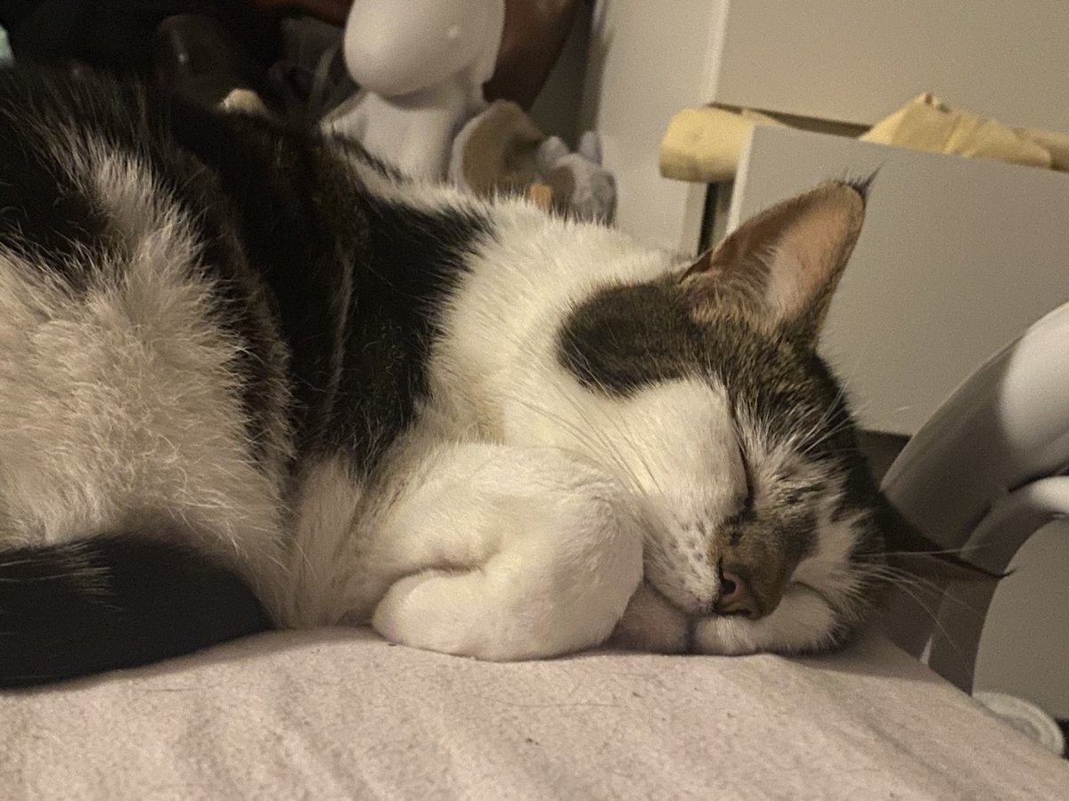 kat!!!🫧 tweet media