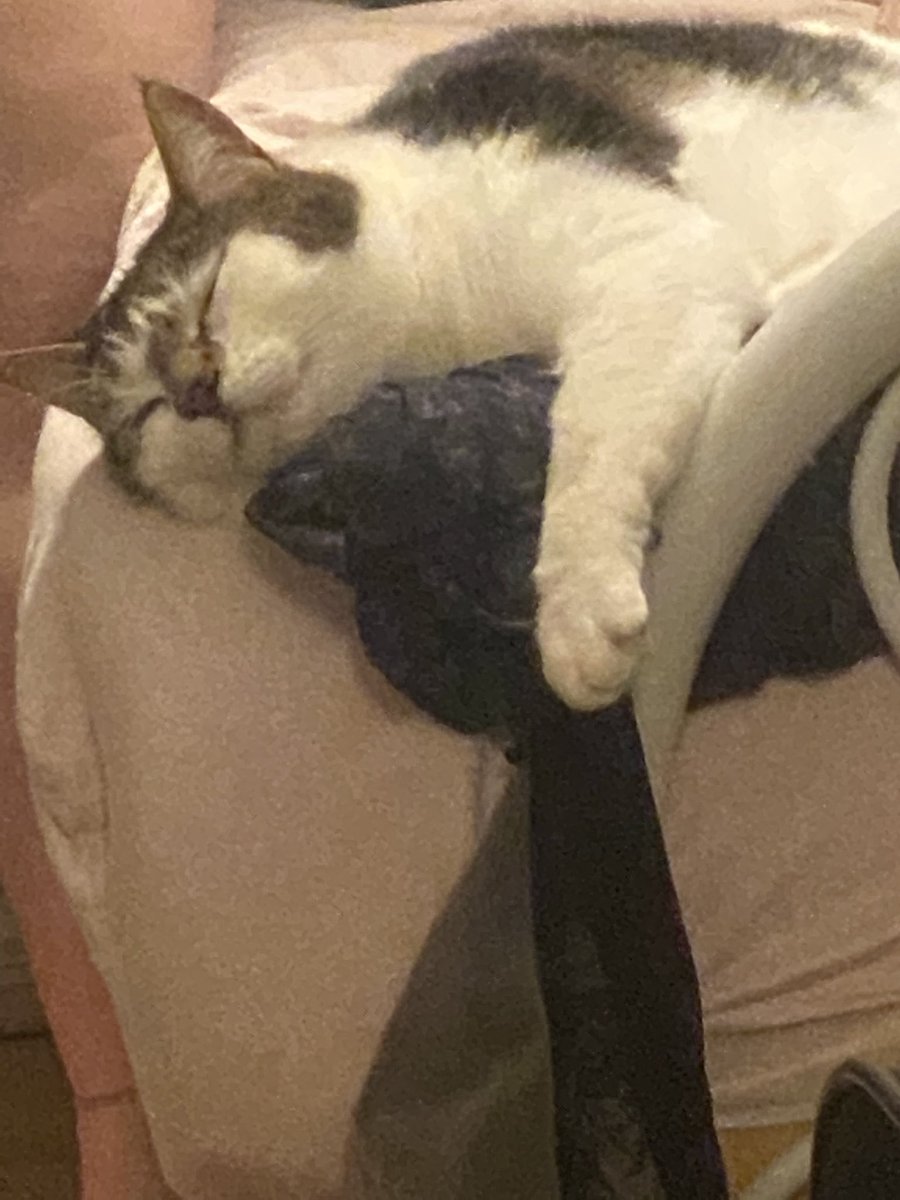 kat!!!🫧 tweet media