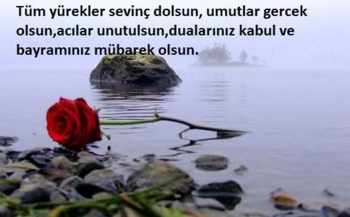 Zehraferhat7's tweet photo. https://t.co/uPNF3jjXe3