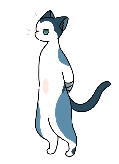 猫になっても体幹がまっすぐな无限 