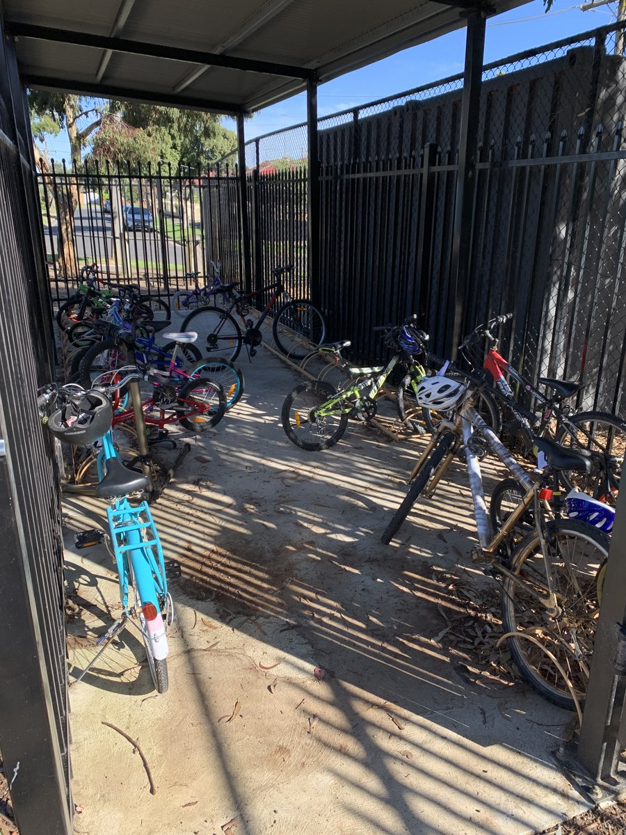 Dallas Brooks CPS tweet media