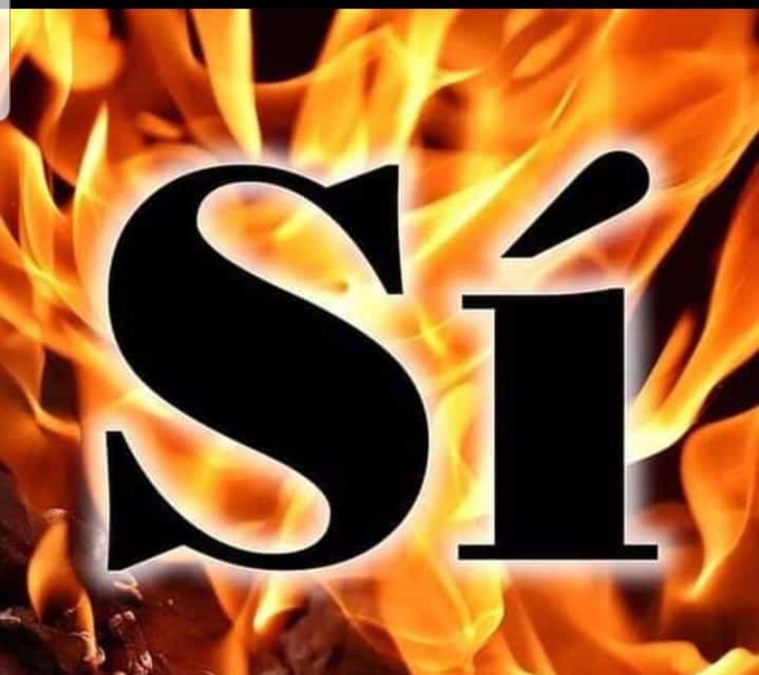 Ayer, con un 93.8% de votos a favor, se decidió la celebración de Nuestras Queridas Fallas del 1 al 5 de septiembre #hemtornat #Falles21