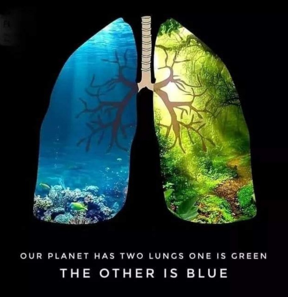 nishant3181's tweet photo. Balance of Nature very essential for #HealthyLiving
#plantTrees
#SaveTrees
#StopPollutingWater
#StopExploitingEarth https://t.co/1J8oI7aDMr