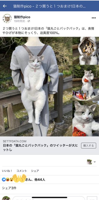注意喚起 猫制作picoの名を騙る中国の詐欺サイトが存在 コレコレさんの配信でもとりあげられる 被害者が注意喚起 私の作品写真を使用した詐欺サイトが多数発生 まとめダネ 注意喚起 猫制作picoの名を騙る中国の詐欺サイトが存在 コレコレさんの配信でもとりあげられる 被害者が注意喚起 私の作品写真を使用した詐欺サイトが多数発生 まとめダネ