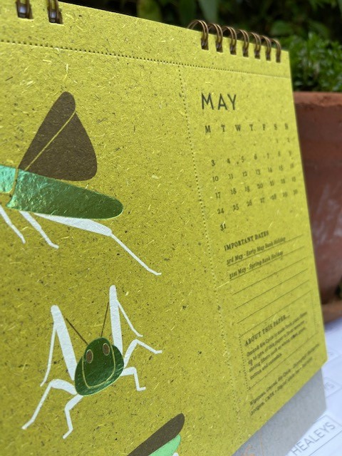 janetheprinter's tweet photo. Sometimes we shy away from gorgeous stocks, as we are just not sure how to use them. But @healeysprint  we love the unusual. #Bio #Cycle - #Chlorophyll from Wigston Paper seen here printed #digitally with #digital white ink with a fabulous 6066 #foil. #lovepaper #lovefoil #8ears. https://t.co/BLn3jAFYHl
