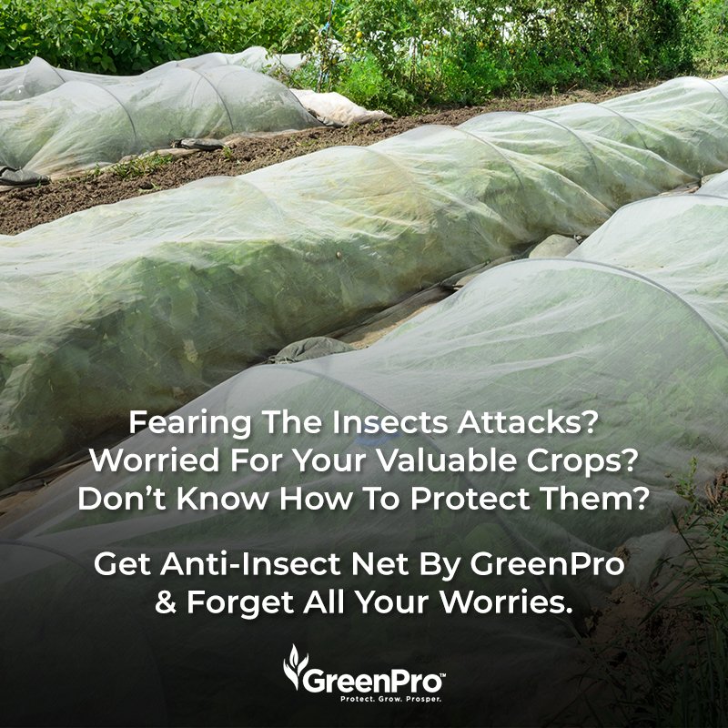 GreenPro_India's tweet image. Anti-Insect Net by GreenPro is the most effective system for crop protection available in the market. It keeps wide varieties of pests, insects, and birds out of your farm and helps in maintaining the overall environment for the crops. Visit: greenpro.co.in/anti-insect-ne…
#insectnet