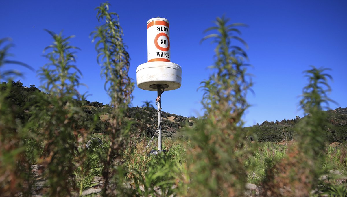 kentphotos's tweet image. The color of drought: dry Cotati farmland, algae in the Clearlake Oaks Keys and the north end of Lake Mendocino.  All images made Wednesday, May 12, 2021. @NorthBayNews @NWSBayArea @NWSEureka #CAwx #CAdrought