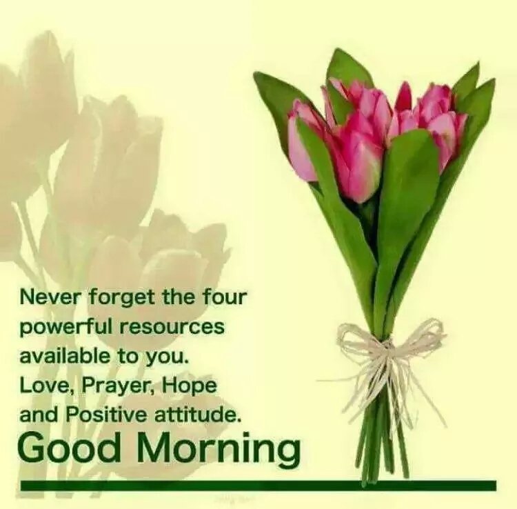 Sanjay Mishra (@sanjaym27389276) on Twitter photo 