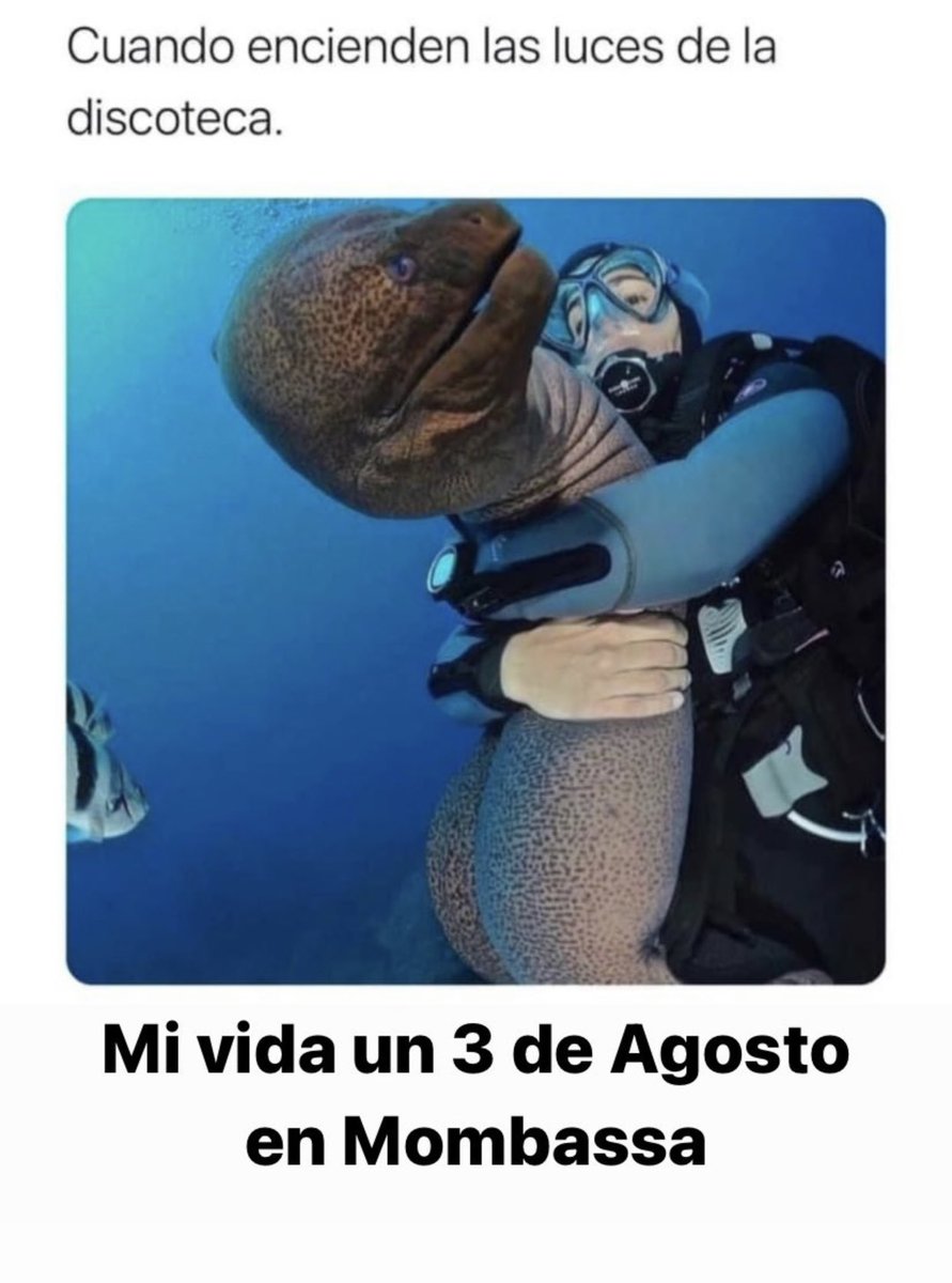 HELLO MONDAY ® tweet media