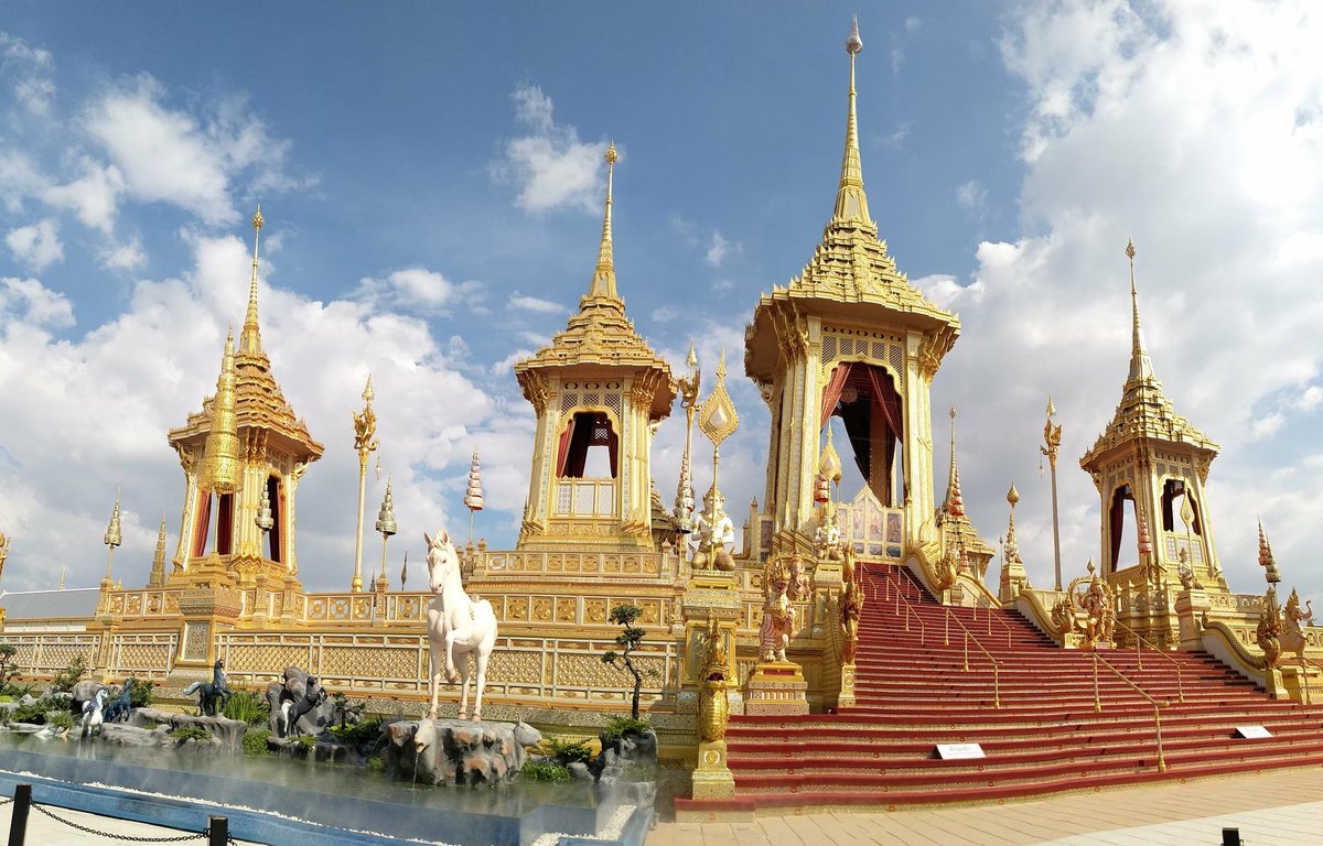 แมวที่นอนจนตื่นตามธรรมชาติ tweet media