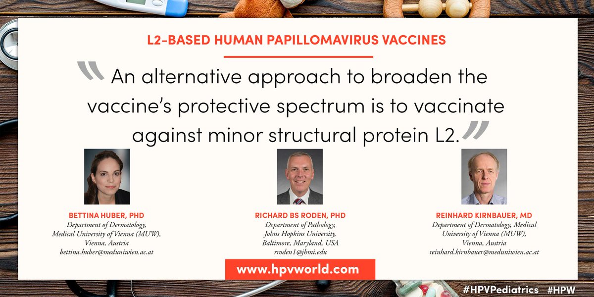 hpv_world's tweet photo. #HPV #Pediatrics #HPVvaccination #BHuber, #RBSRoden, #RKirnbauer. L2-based Human Papillomavirus Vaccines📝"An alternative approach to broaden the vaccine’s protective spectrum is to vaccinate against minor structural protein L2." ➡https://t.co/cKup91DmVc https://t.co/Nm595vllJp